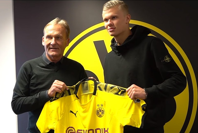 孤注一掷的 孤注一掷的